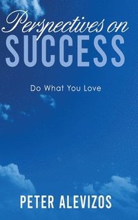 bokomslag Perspectives on Success
