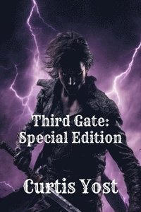 bokomslag Third Gate