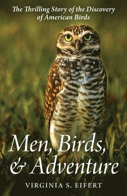 Virginia S Eifert - Men, Birds, and Adventure, Häftad