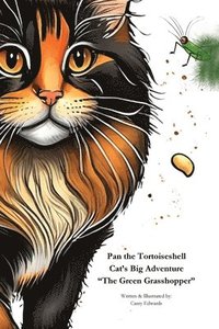 bokomslag Pan the Tortoiseshell Cat's Big Adventure &quot;The Green Grasshopper&quot;