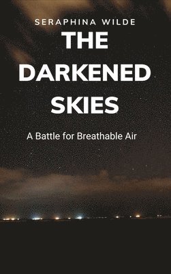 bokomslag Darkened Skies