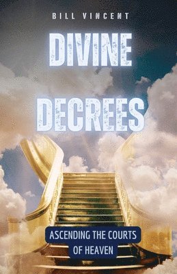 bokomslag Divine Decrees