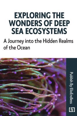 Exploring the Wonders of Deep Sea Ecosystems 1