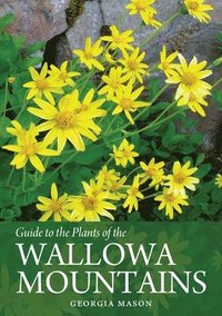 bokomslag Guide to the Plants of the Wallowa Mountains of Northeastern Oregon