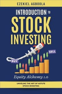 bokomslag Introduction to Stock Investing