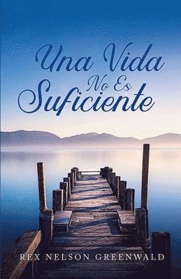 bokomslag Vida No Es Suficiente