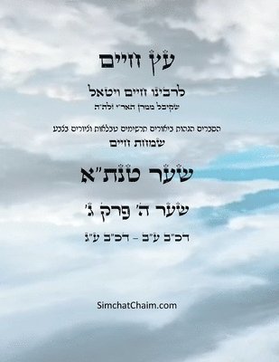 Chaim Vital Ha'ari - עץ חיים שער ה פרק ג - Sefer Etz Chaim Gate 05 Chapter 03, Häftad
