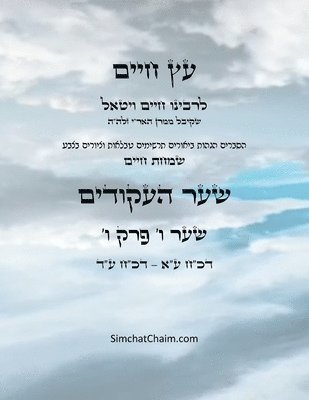 Chaim Vital Ha'ari - עץ חיים שער ו פרק ו - Sefer Etz Chaim Gate 06 Chapter 06, Häftad