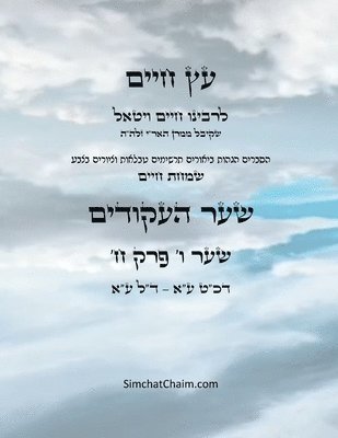 Chaim Vital Ha'ari - עץ חיים שער ו פרק ח - Sefer Etz Chaim Gate 06 Chapter 08, Häftad