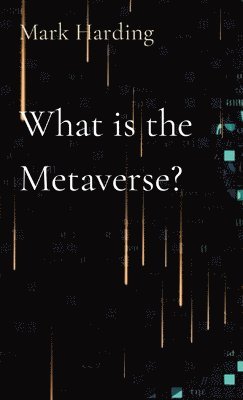 bokomslag What is the Metaverse?