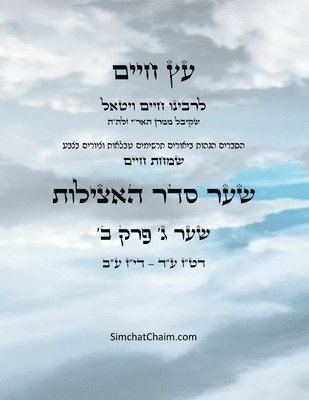 Chaim Vital Ha'ari - עץ חיים שער ג פרק ב - Sefer Etz Chaim Gate 03 Chapter 02, Häftad