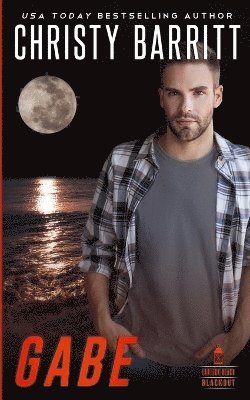 Christy Barritt - Gabe, Häftad