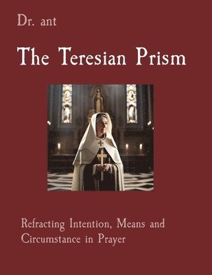 bokomslag The Teresian Prism