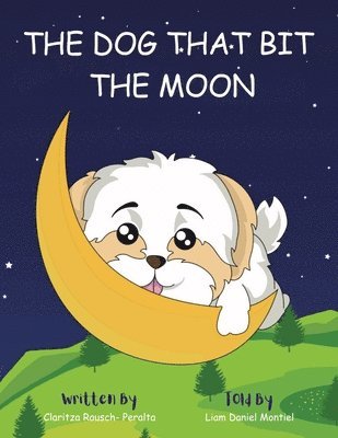 bokomslag Dog That Bit The Moon