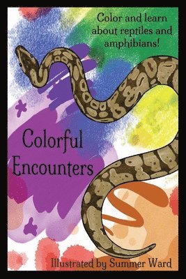 Colorful Encounters 1