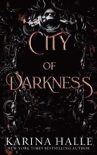 bokomslag City of Darkness