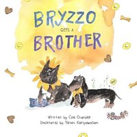 bokomslag Bryzzo Gets a Brother