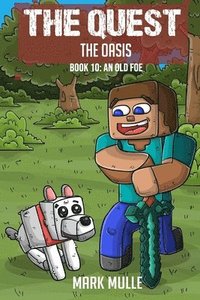bokomslag Quest - The Oasis Book 10