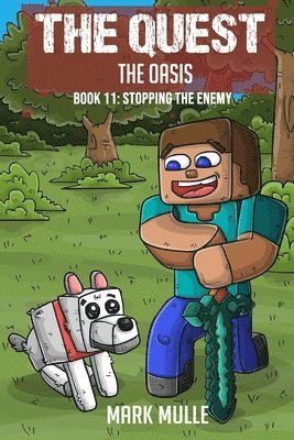bokomslag Quest - The Oasis Book 11