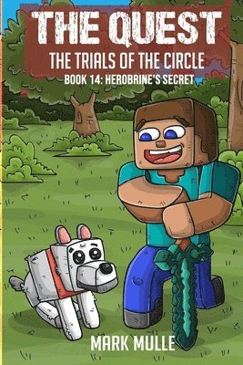 bokomslag Quest - The Trials of the Circle Book 14