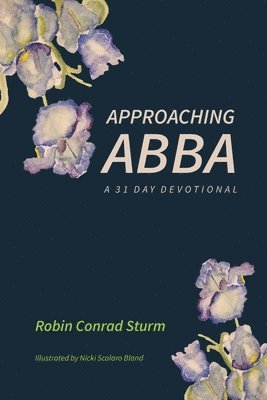 Robin Conrad Sturm - Approaching Abba, Häftad
