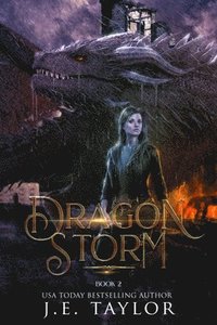 bokomslag Dragon Storm