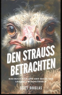 bokomslag Den Strauss Betrachten