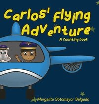 bokomslag Carlos Flying Adventure