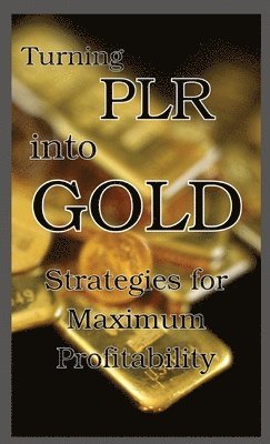 bokomslag Turning PLR into Gold