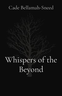bokomslag Whispers of the Beyond