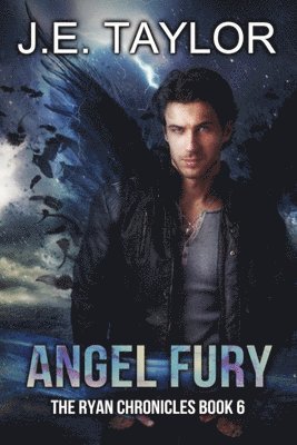 bokomslag Angel Fury