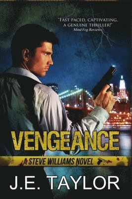 bokomslag Vengeance