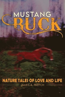 MUSTANG BUCK NATURE TALES of LOVE and LIFE 1