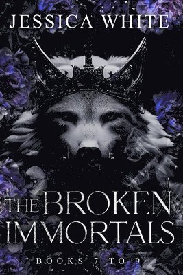 bokomslag The Broken Immortals