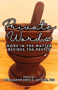 bokomslag Private Words: More In The Matter Besides The Pestle