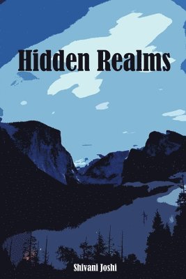 bokomslag Hidden Realms