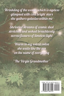 Ayleen Guzman, Giesselmann - Celestial Womb, Häftad