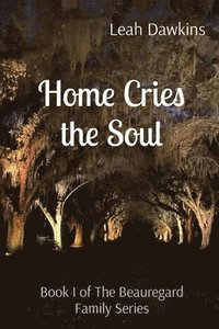 bokomslag Home Cries the Soul