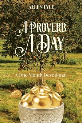 bokomslag A Proverb A Day