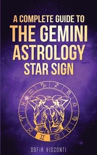 bokomslag Gemini