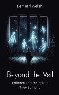 bokomslag Beyond the Veil