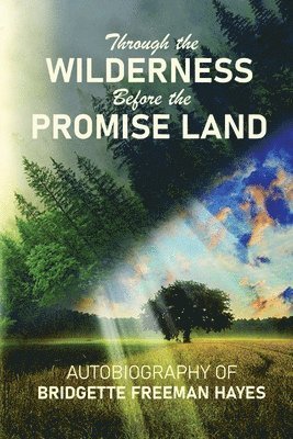 Through the Wilderness Before the Promise Land 1