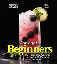 bokomslag Mixology for Beginners