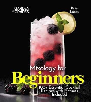 bokomslag Mixology for Beginners