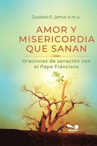 bokomslag Amor Y Misericordia Que Sanan