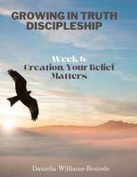 bokomslag Growing in Truth Discipleship