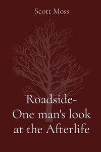 bokomslag Roadside- One man's look at the Afterlife
