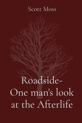 Roadside- One man's look at the Afterlife 1