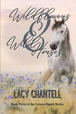 Wildflowers & Wild Horses 1