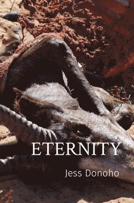 Eternity 1